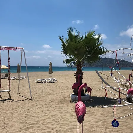 Sa Apartments! 2bd Flat 200m To The *