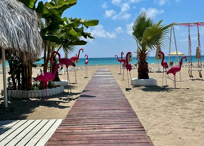 Sa Apartments! 2bd Flat 200m To The 公寓 阿拉尼亚