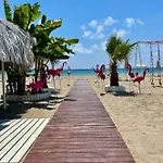 Sa Apartments! 2bd Flat 200m To The Appartamento Alanya