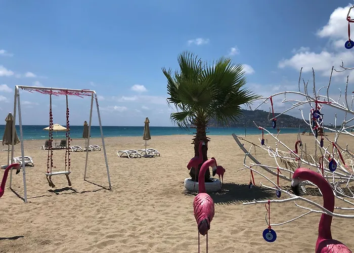 Sa Apartments! 2bd Flat 200m To The *